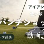 『パンチショット』動画まとめ